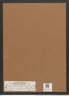 Cystopleura turgida var. granulata (Ehr.) Brun. (de-Toni-Nr.: Genus 103, Species 3116) Zeichnungen Sammlung Grunow Mappe 03350 (Herbarium_W_Grunow_drawings_Folder_03350)
